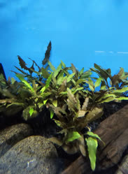 54-0-Copr_2025-Finatics.jpg 54-0-Copr_2025-Finaticst.jpg