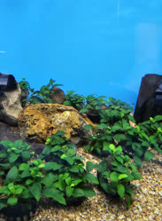 55-0-Copr_2025-Finatics.jpg 55-0-Copr_2025-Finaticst.jpg