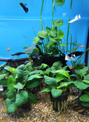 56-0-Copr_2025-Finatics.jpg 56-0-Copr_2025-Finaticst.jpg