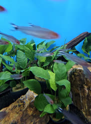 58-0-Copr_2025-Finatics.jpg 58-0-Copr_2025-Finaticst.jpg