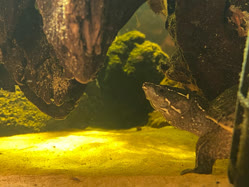 08-0-Copr_2025-zoo-burkartt.jpg