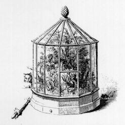 https://www.gardensillustrated.com/plants/the-history-of-terrariums-the-wardian-case