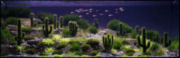 trees12t.jpg