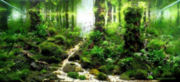 trees16t.jpg