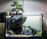 trees9t.jpg