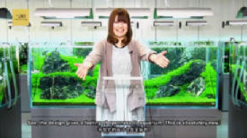 Sumida-ads-06t.jpg