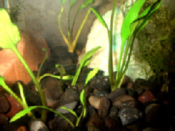2004