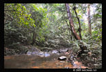 jungle5-Betong0809x.jpg