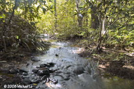 biotope