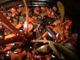 55-0-Cryptocoryne_cordata_grabowski-Copr_2007_Richard_Sexton-Charlie_drew-28jan2007t.jpg