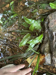 01-0-Copr_2025-Anon.jpg 01-0-Copr_2025-Anont.jpg