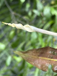 03-0-Copr_2025-Anon.jpg 03-0-Copr_2025-Anont.jpg