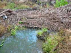 01-0-Copr_2012_RM_Nakamotot.jpg